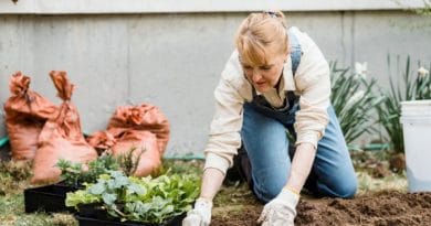 A Compostagem na Jardinagem Como Fazer em Casa