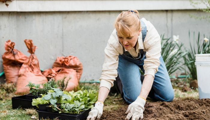 A Compostagem na Jardinagem Como Fazer em Casa