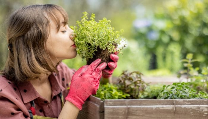 Jardinagem Terapêutica Cultivando a Saúde Mental nas Plantas.